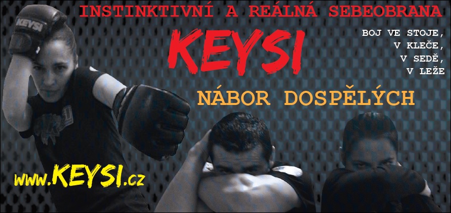 Keysi Fighting Method Distance Learning Program 44